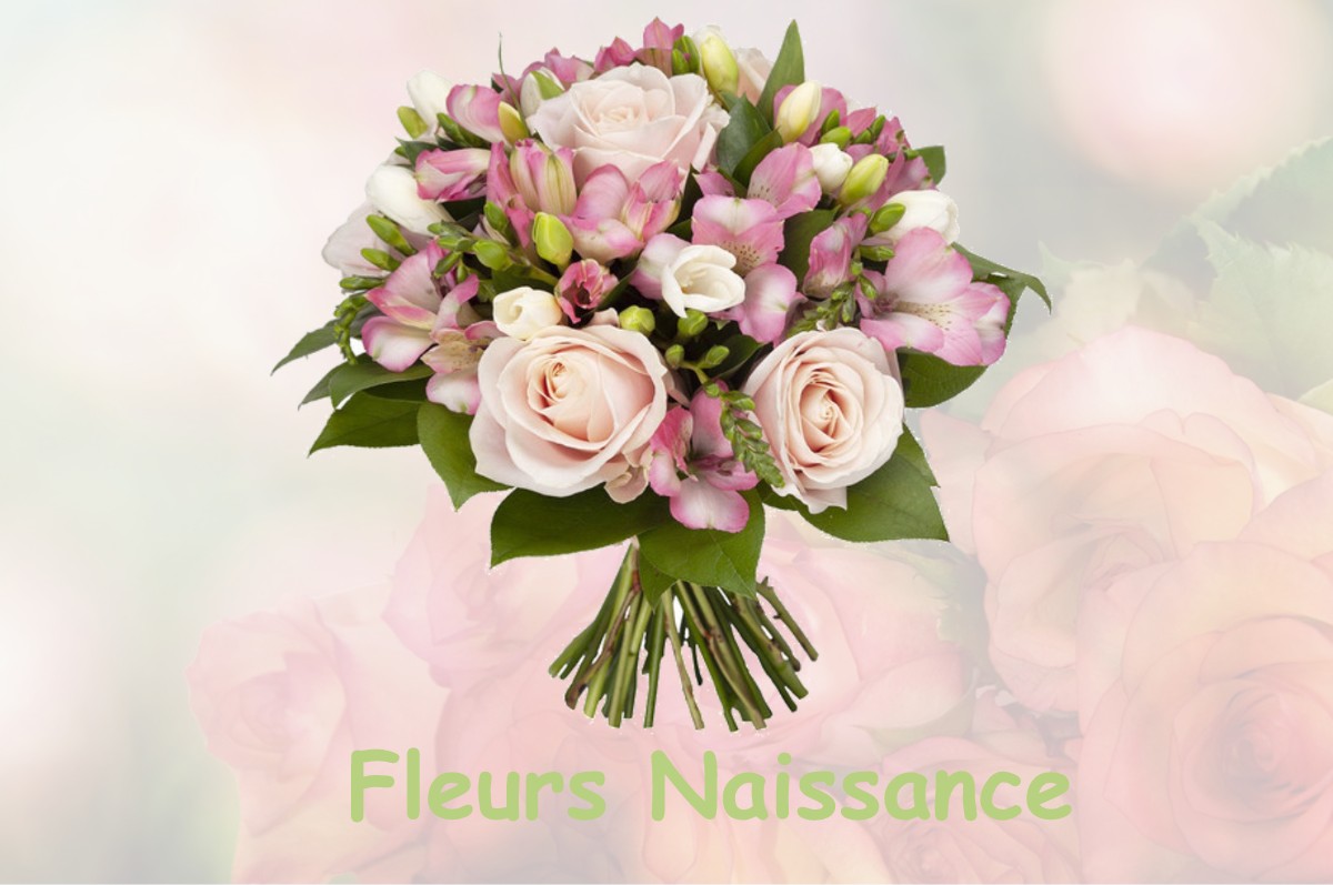 fleurs naissance LOURQUEN